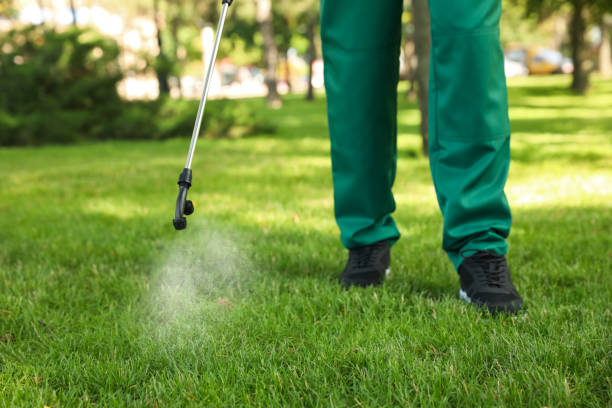 Best Bed Bug Extermination  in Calais, ME